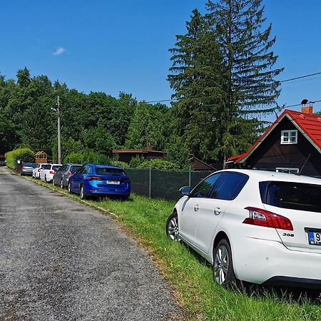 Willa Vily Jedlici Frýdlant nad Ostravicí Zewnętrze zdjęcie